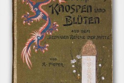 中华苗蔓花.华夏纵览.Unkraut Knospen und Blüten aus dem blumigen Reiche der Mitte.By Richard Pieper.德文版.1900年 PDF电子版下载